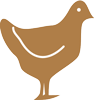 Piktogramm poultry Piktogramm
							poultry