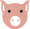 Piktogramm Schwein